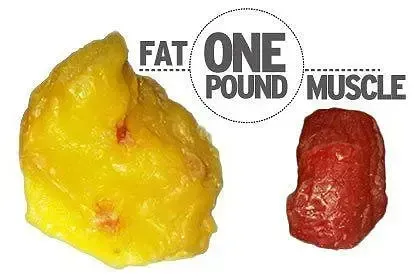 Why Building Muscle Is the Fastest Way to Lose Fat (Hint: It’s Not Just Cardio)